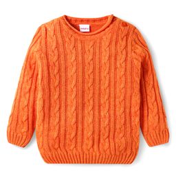 Babyhug Knitted Full Sleeves Cable Knit Design Sweater - Orange-image-84