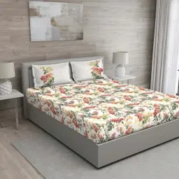 GM Beige 100% Cotton 150 TC Queen Bedsheet Set-image-31