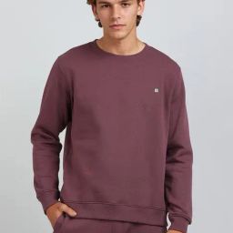French Connection Wine Blended Solid Long Sleeves Sweatshirts-picture-42