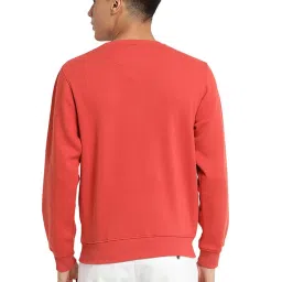 Turtle Red Regular Fit Printed Sweatshirt image 2