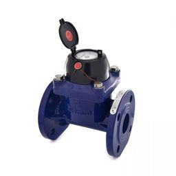 Sant 65mm Cast Iron Sewage Water Meter WM 5-image-4