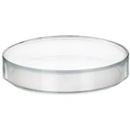 ABGIL Petri Dishes 200 mm Transparent Borosilicate Glass, INDG-PD-27-07-39