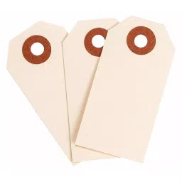BRADY Plain 30 Points Manila Blank Shipping Tag, 35RZ37 (Pack of 1000)-image-15