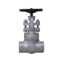 Leader FCS 010 Forged Cast Steel G Globe Valve 25 mm Class - 1500-image-46