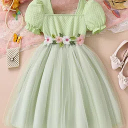 BAESD Flutter Sleeve Fit & Flare Dress-10
