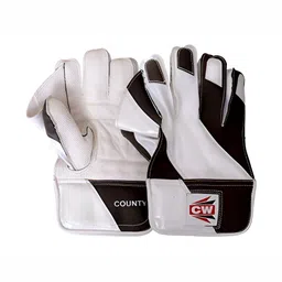 CW Men Wicket Keeping Gloves image 3