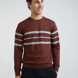ColorPlus Brown Cotton Tailored Fit Striped Sweatshirt-image-44