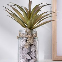 Home Centre Corsica Transparent Daffodil Aloe Vera Artificial Plant With Pot-6