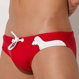 PANTEAZY Men Conversational Printed Basic Briefs LO-S01-FDG-R-S image 2