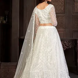 Warthy Ent Embroidered Net Semi-Stitched Lehenga & Unstitched Blouse With Dupatta image 4