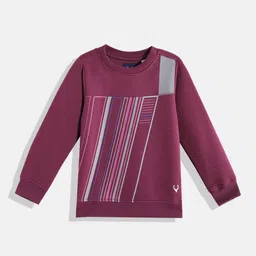 Allen Solly Junior Boys Burgundy & Grey Striped Sweatshirt-picture-26