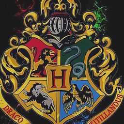 Harry Potter Black Printed Regular Top image 3