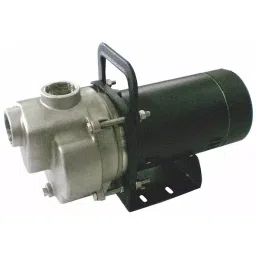 Dayton 1/3 hp Single Phase Centrifugal Pump, 6GPG4-image-20