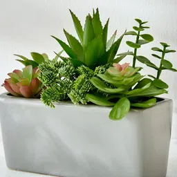 Home Centre Green & Pink Aloevera Artificial Plant With Pot-picture-15