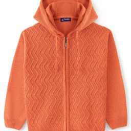 Pine Kids Full Sleeves Front Open Zipper with Hood Sweater - Orange-image-38