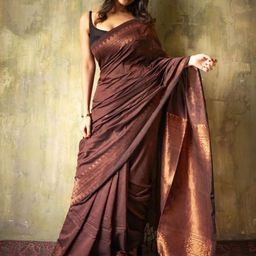 revika Zari Pure Silk Kanjeevaram Saree-picture-48