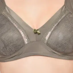 Da Intimo Grey Non Wired Non Padded Full Coverage Bra image 5