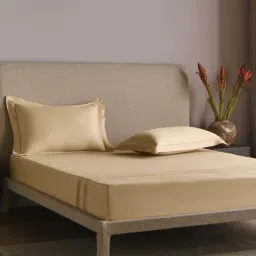 DDecor Beige Cotton 300 TC King Bedsheet with 2 Pillow Covers-image-43