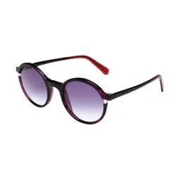 Scott Violet Round Sunglasses for Women-picture-11
