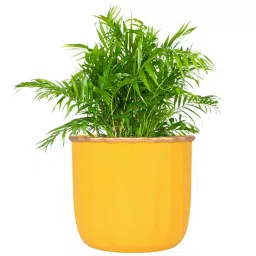ORILEY Metal Flower Pot Heavy Duty Planter 11 x 12 cm Yellow-image-72