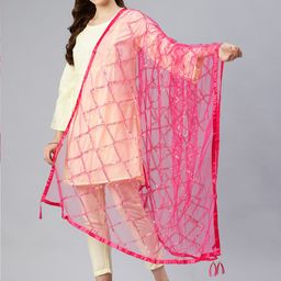 swatika Checked Net Dupatta With Sequinned image 5