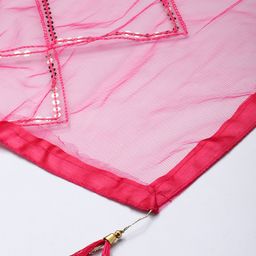 swatika Checked Net Dupatta With Sequinned image 4