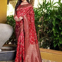 Satrani Maroon Woven Saree With Unstitched Blouse-image-23