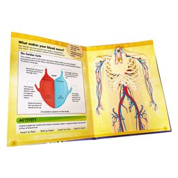 HOW DO HEART AND LUNGS KEEP THE BODY ACTIVE (POP-UP)- ENGLISH-10