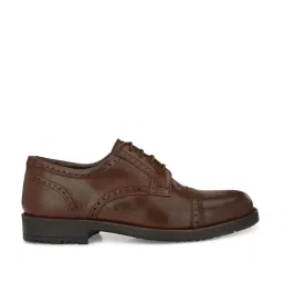 Carlo Romano Men's Brown Brogue Shoes-image-87