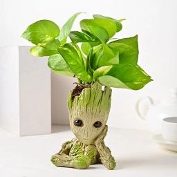 I am Wealthy Groot-image-64