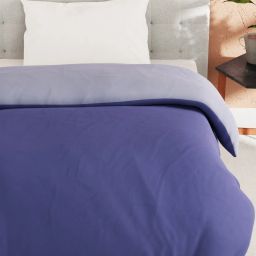 Bianca Ultra Soft Grape & Lavender 152 TC Micro Fabric Single Reversible Comforter For All Weather image 2