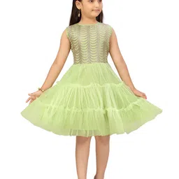 BAESD Net Fit & Flare Dress-picture-10
