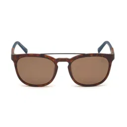 Timberland Brown Round Sunglasses for Men-image-2