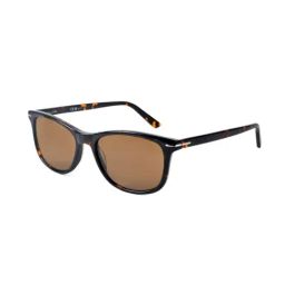 Pierre Cardin Blue Round Sunglasses For Men-image-82