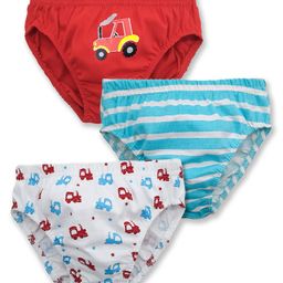 Babyhug 100% Cotton Briefs Pack of 3 - White Blue, Red-image-70