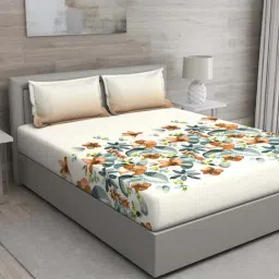 GM Off-White & Brown 100% Cotton 144 TC Queen Bedsheet Set-image-84
