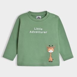 Mi Arcus 100% Cotton Knit Full Sleeves Little Adventurer Text Printed Tee - Green-image-15