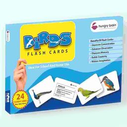 Hungry Brain Birds 24 Flash Cards - Multicolor-image-7