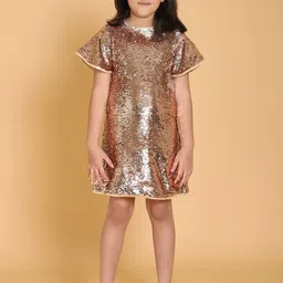 YK Embellished Net Sheath Dress-image-52