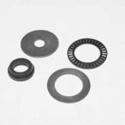 SBM Shocker Bearing for Ford Ikon-picture-37
