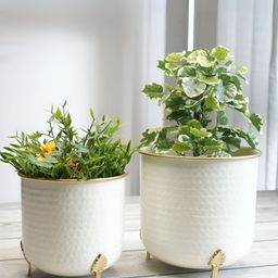 BEHOMA 2 Pcs White Textured Metal Planters-image-62