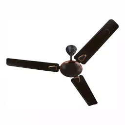 Bajaj Edge HS Neo DECO EE Choko Brown 1200 mm Ceiling Fan, BJ251401EE-picture-30