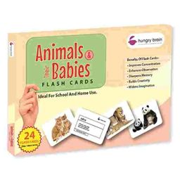 Hungry Brain Animals & Their Babies 24 Flash Cards - Multicolor-image-11