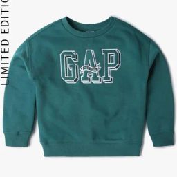 GAP Boys Green Embroidered Sweatshirt-image-42