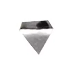 Insize 1 mg Calibration Weight, 8911-1MGF1-34