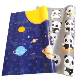 eVincE - thoughtful PRESENTations SOLA01PAND02_5X2Fun Facts ( Large Sheet) For Kids Birthday Diwali Christmas Party & Celebrations All Occasion Assorted Gift Wrapping Paper (Pack of 10 Piece)-18