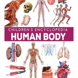 Pegasus Human Body Children's Encyclopedia Book - English-17