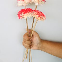 Vanchai Scarlet Red Sola Flower Pack of 5 - Red-19
