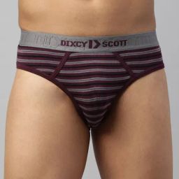 Dixcy Scott Maximus Purple Regular Fit Striped Briefs-image-16