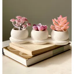 Mason Home Artificial Pink Trio Succulents-picture-1
